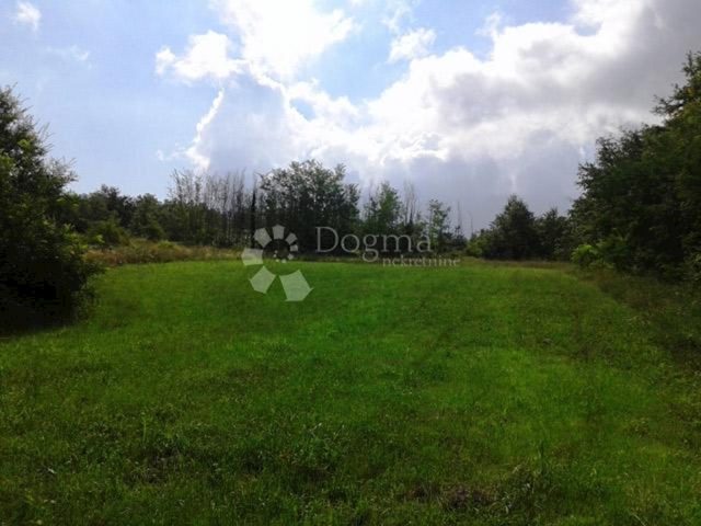 Zemljište na prodaju 9628 m² – Poreč