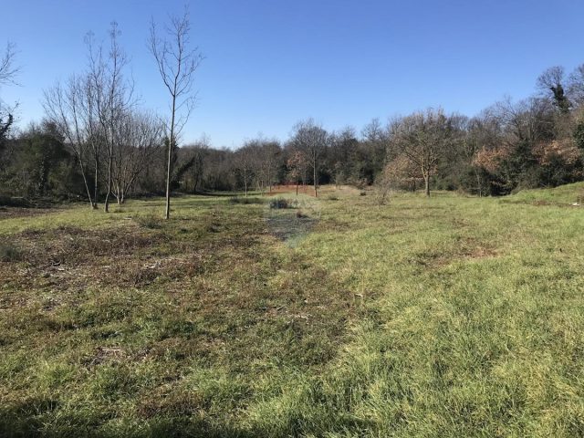 Pozemek na prodej 473 m² – Pavićini