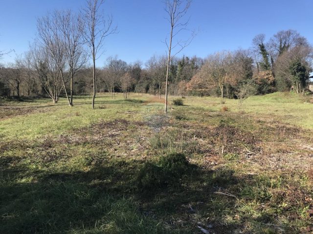 Parcela Na predaj - Istarska Marčana - foto 2/2