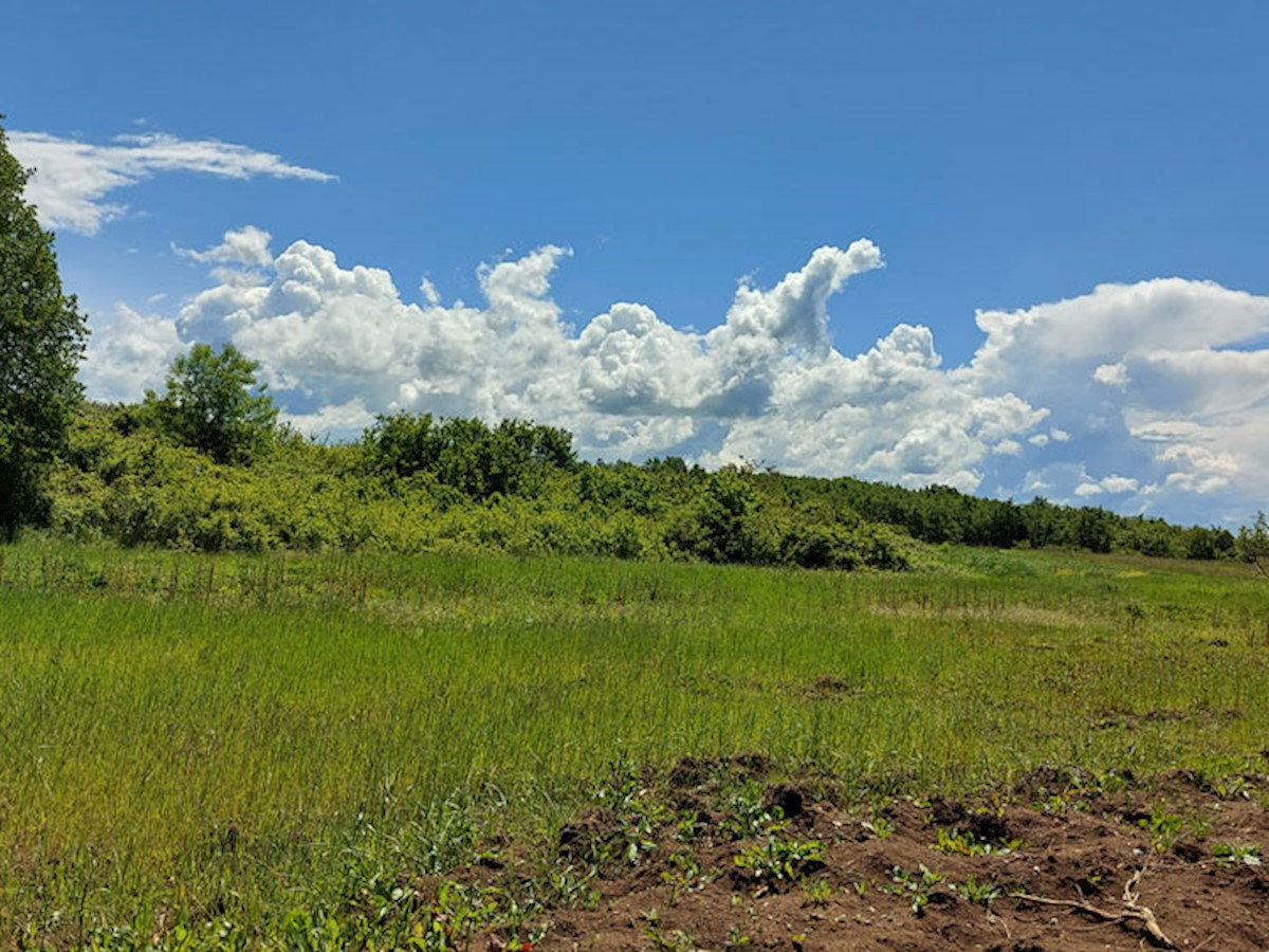 Terrain À vendre - ISTARSKA VIŽINADA