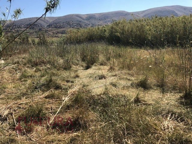 Land For sale - Zadarska Pag - foto 3/3