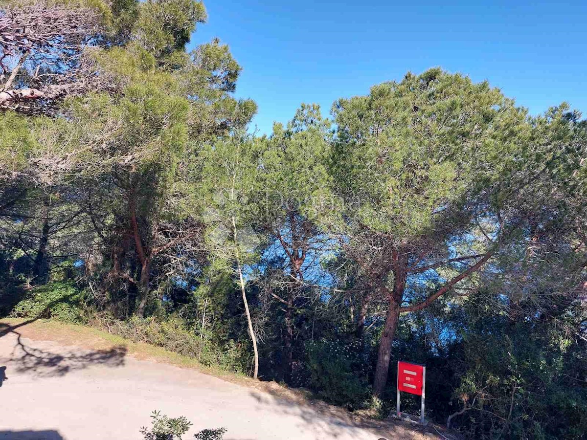 Flat For sale - ZADARSKA UGLJAN