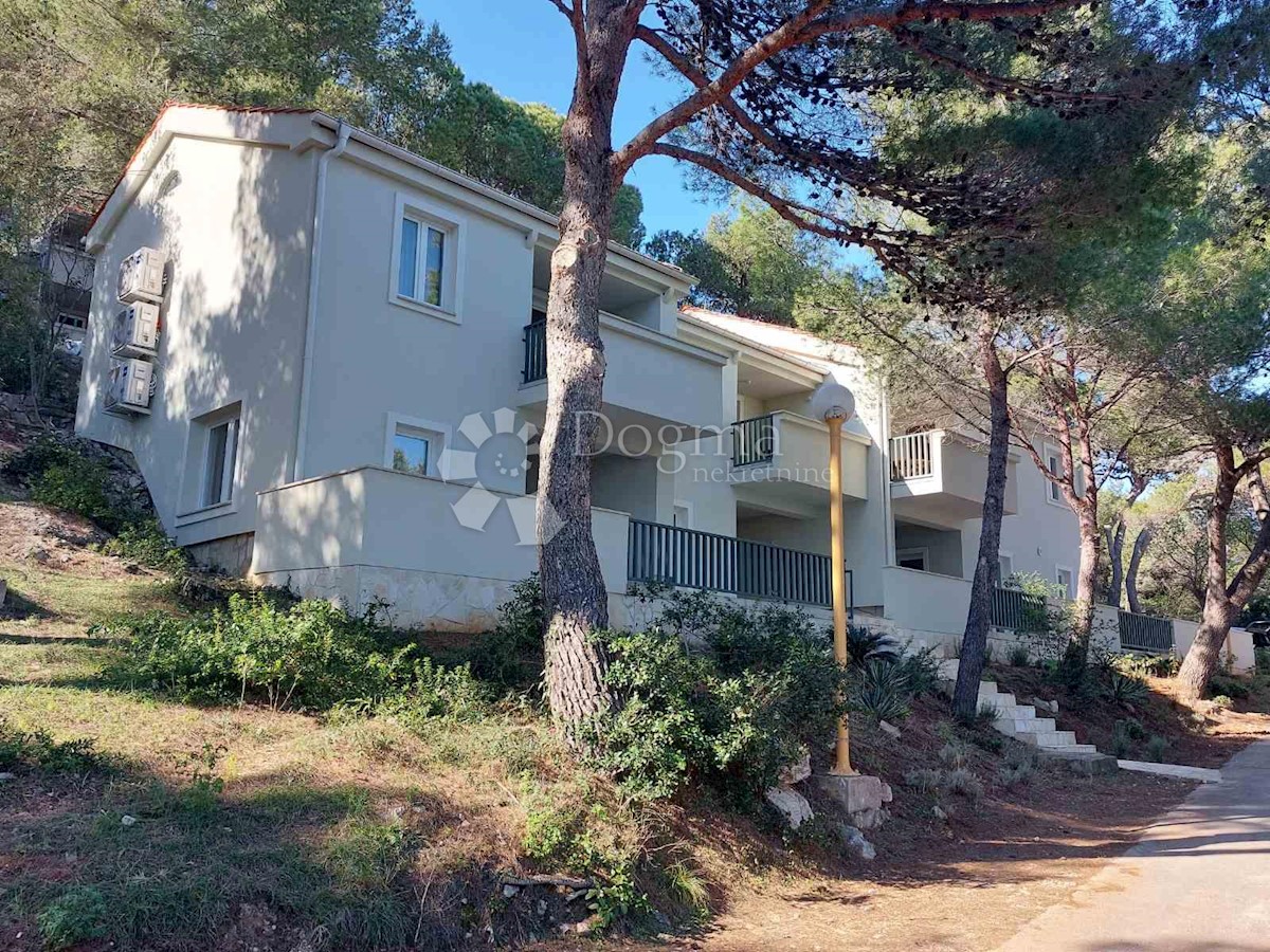 Flat For sale - ZADARSKA UGLJAN