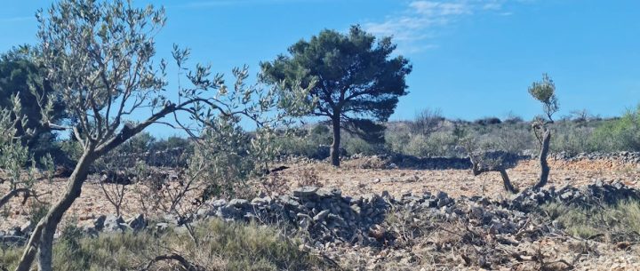 Parcela Naprodaj - šibensko-kninska Rogoznica - foto 3/3