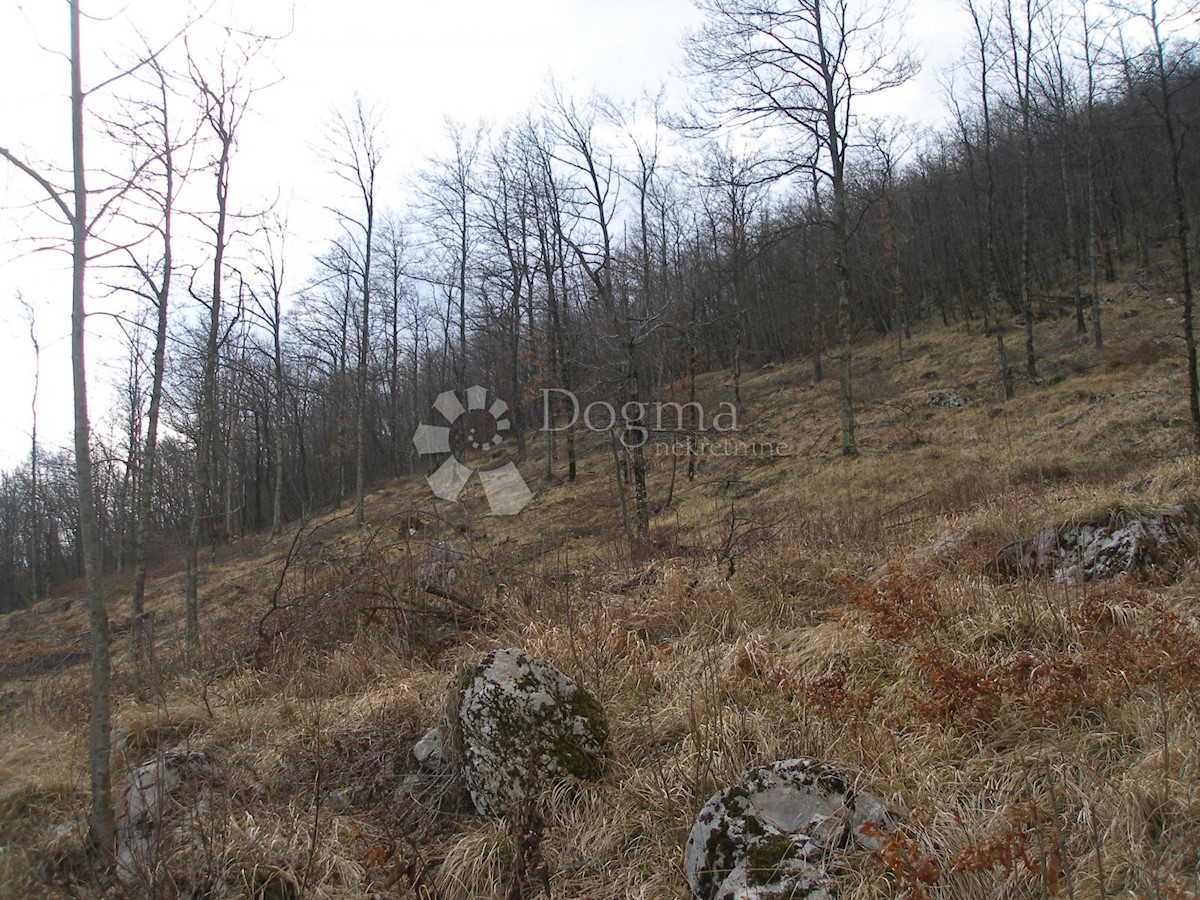 Parcela Naprodaj - PRIMORSKO-GORANSKA Opatija