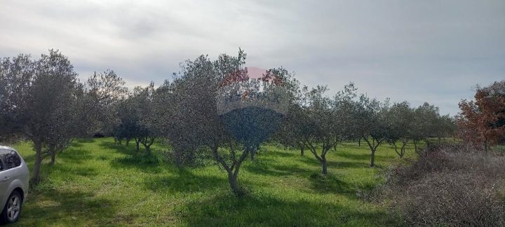 Zemljište na prodaju 8511 m² – Vodnjan