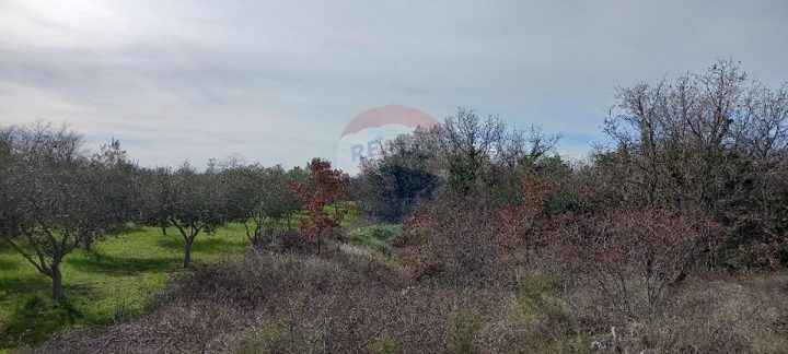 Land For sale - Istarska Vodnjan - foto 3/14
