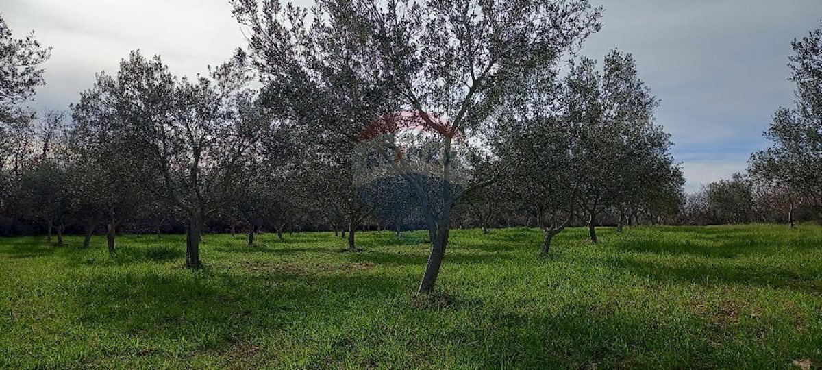 Land For sale - ISTARSKA Vodnjan