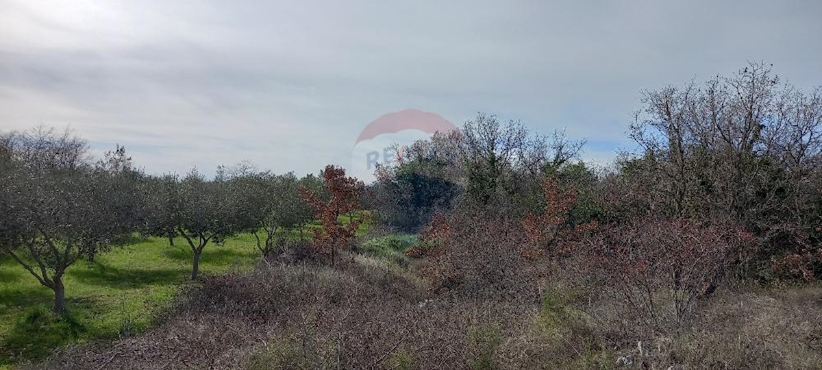 Terrain À vendre - Istarska Vodnjan - foto 3/13