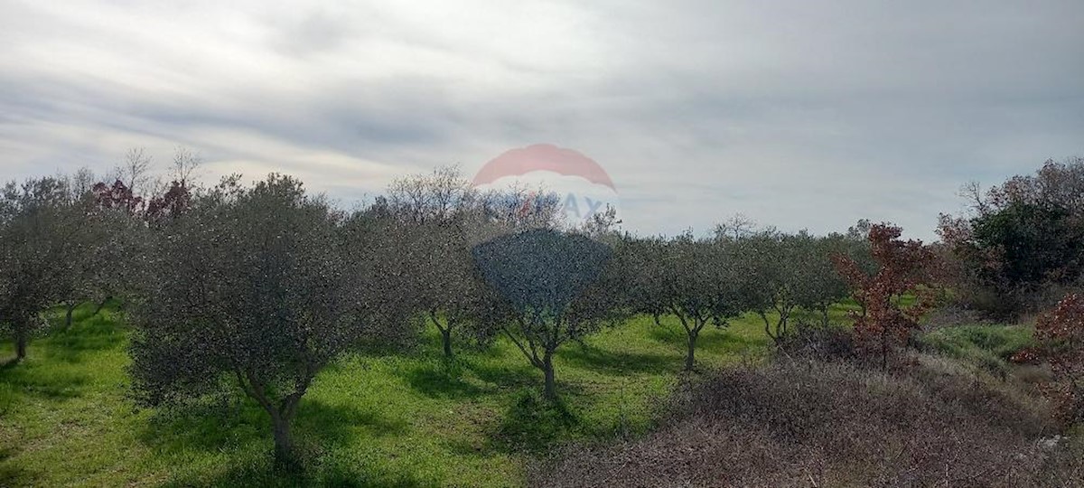 Terrain À vendre - Istarska Vodnjan - foto 4/13