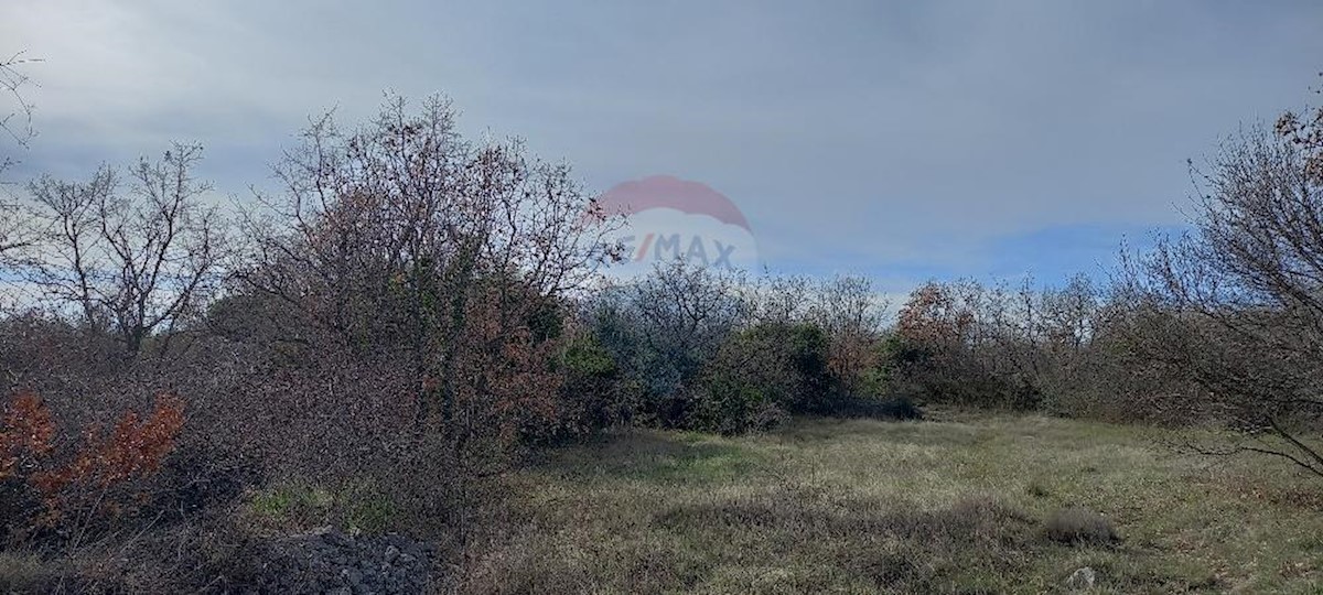 Terrain À vendre - Istarska Vodnjan - foto 5/13