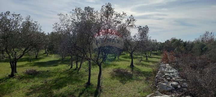 Parcela Naprodaj - Istarska Vodnjan - foto 5/14