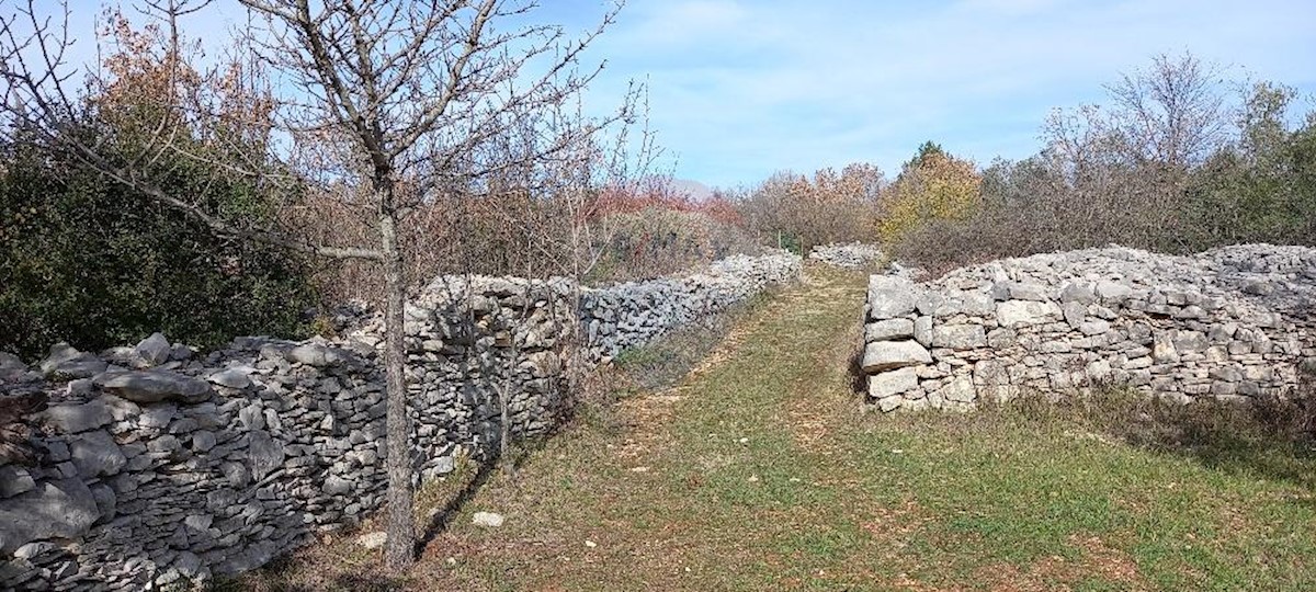 Parcela Naprodaj - ISTARSKA Vodnjan