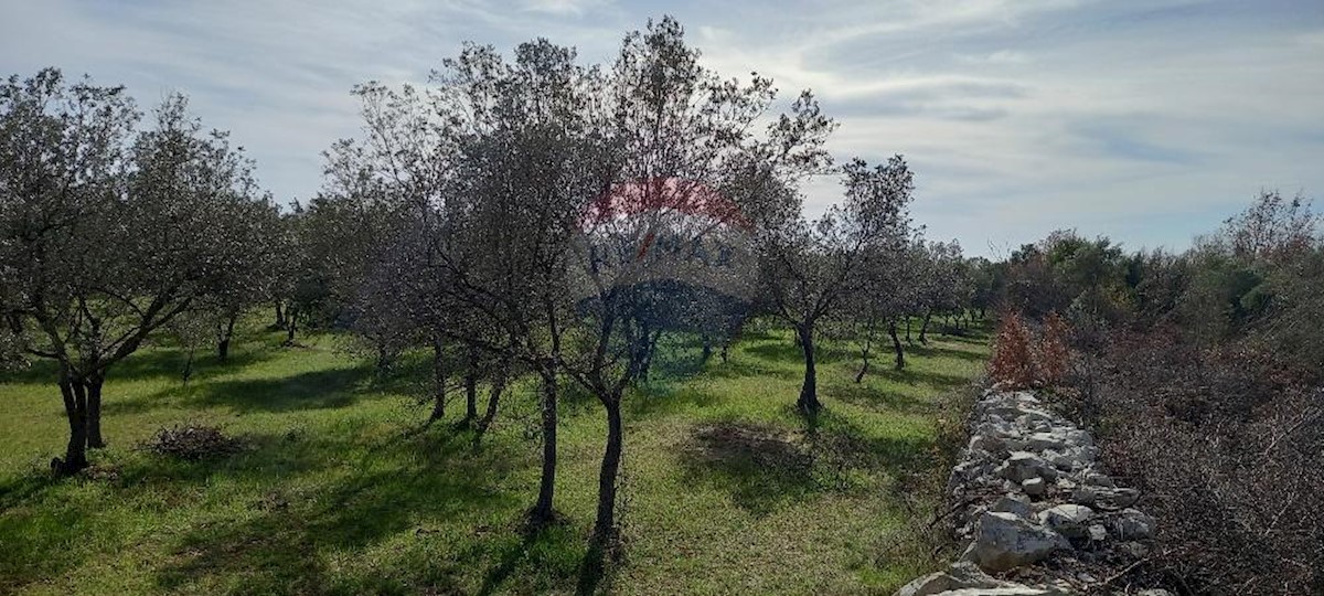 Działka Na sprzedaż - ISTARSKA VODNJAN