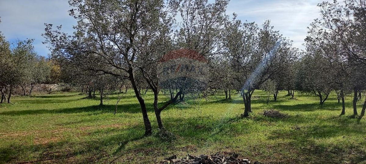 Działka Na sprzedaż - ISTARSKA VODNJAN