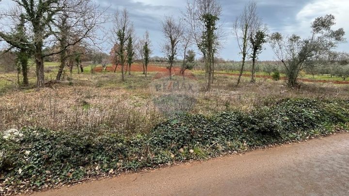 Terreno In vendita - Istarska Tar-vabriga - foto 3/4