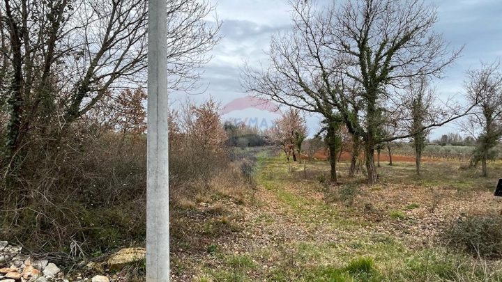 Parcela Naprodaj - Istarska Tar-vabriga - foto 5/5