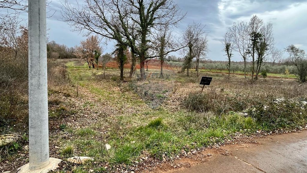 Land For sale - ISTARSKA TAR-VABRIGA