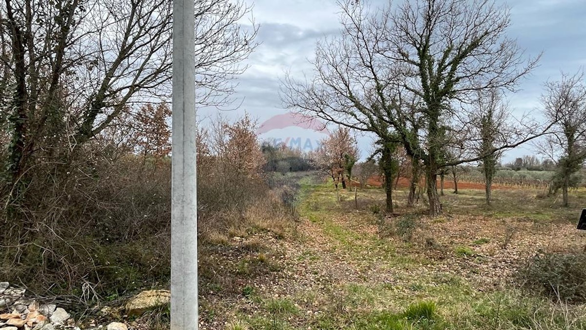 Land For sale - ISTARSKA TAR-VABRIGA