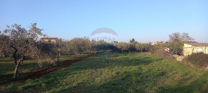 Terreno In vendita - Istarska Fažana - foto 2/15
