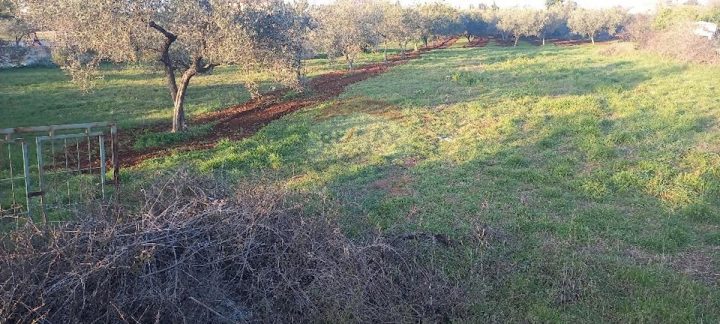 Terreno In vendita - Istarska Fažana - foto 4/15
