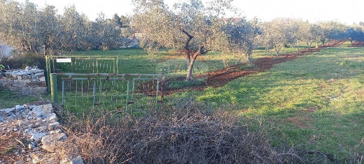 Grundstück Zu verkaufen - ISTARSKA FAŽANA