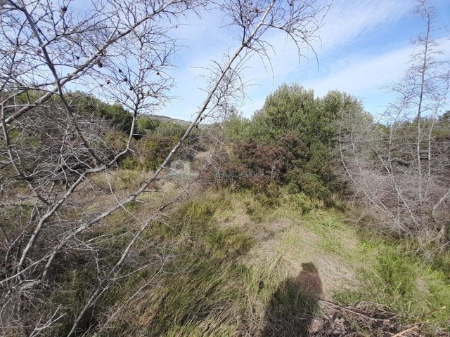 Land for sale 3233 m² – Tribunj