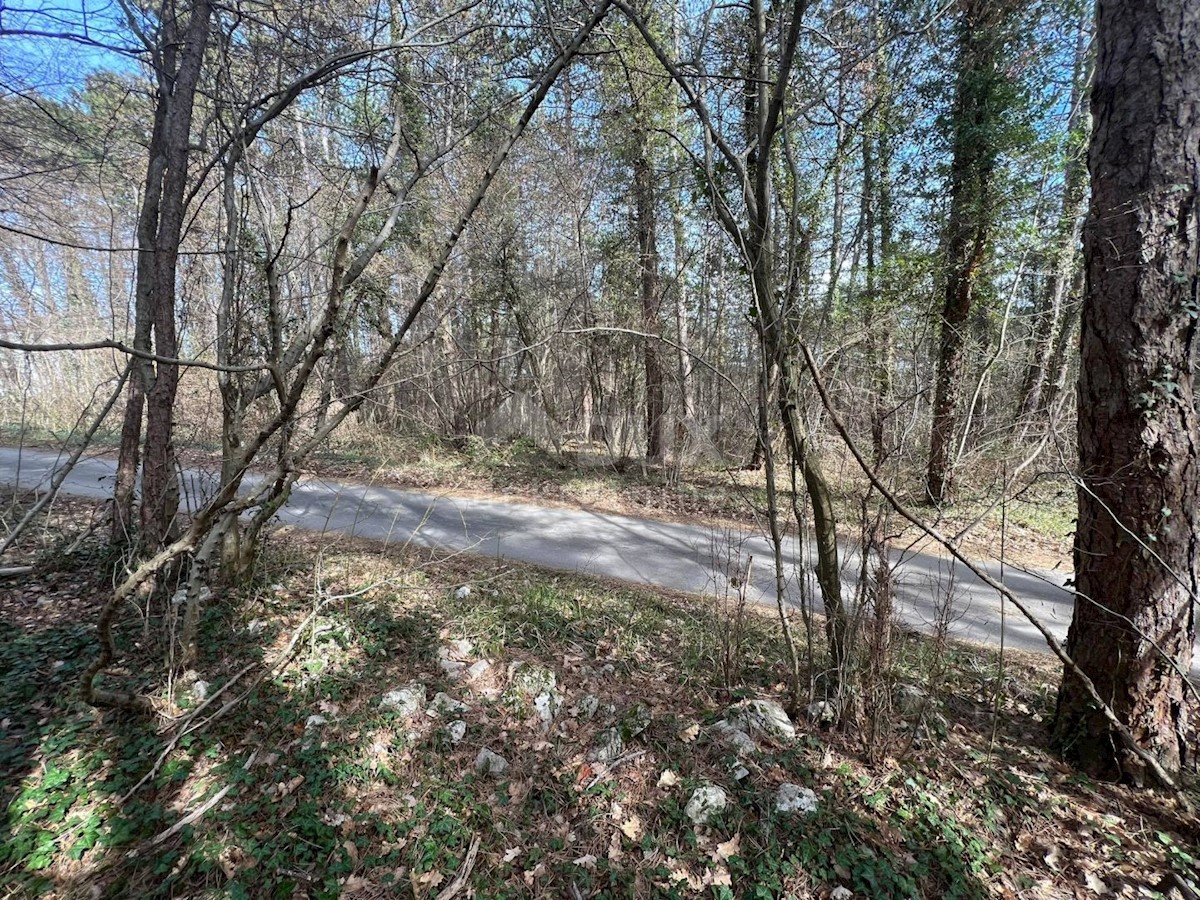 Terreno In vendita - ISTARSKA LABIN