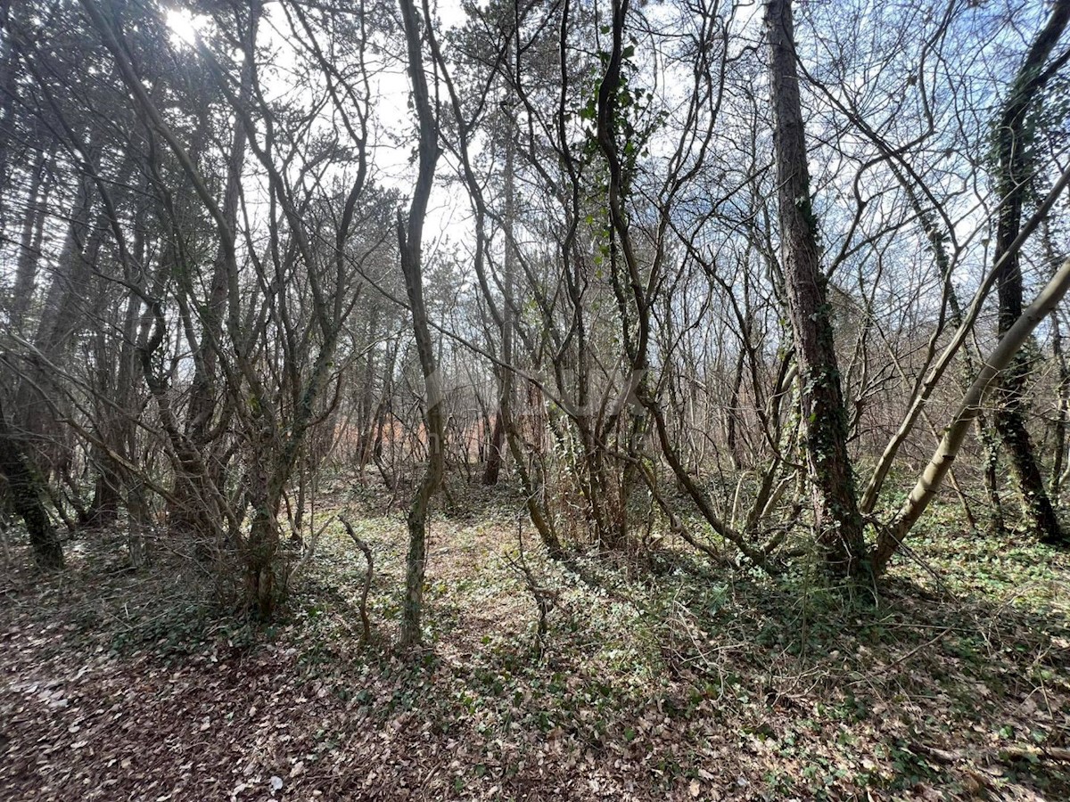 Terreno In vendita - ISTARSKA LABIN