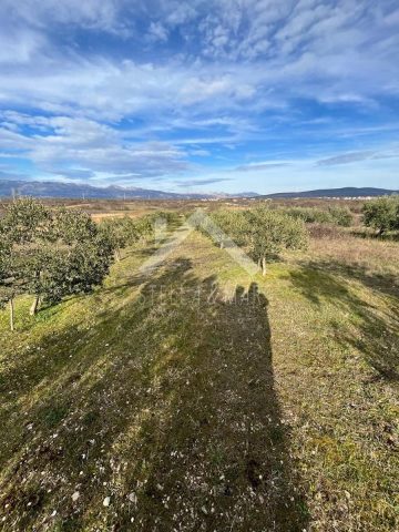 Zemljište na prodaju 2200 m² – Pridraga