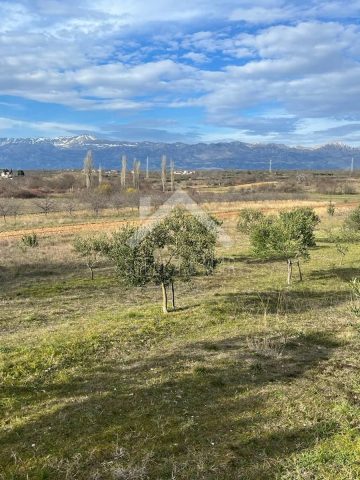 Grundstück Zu verkaufen - Zadarska Novigrad - foto 2/4