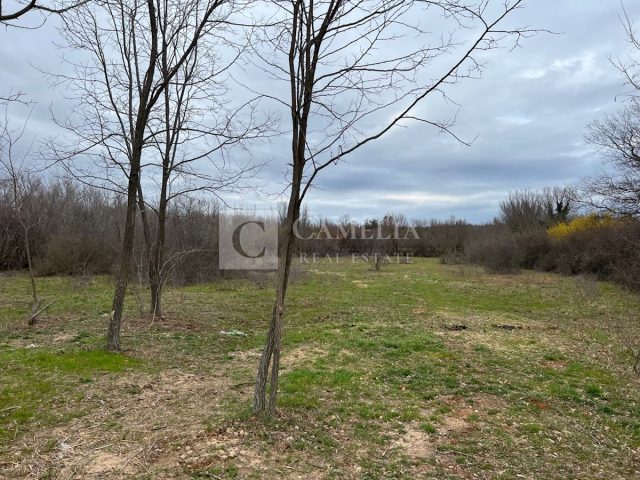 Parcela na predaj 970 m² – Manjadvorci