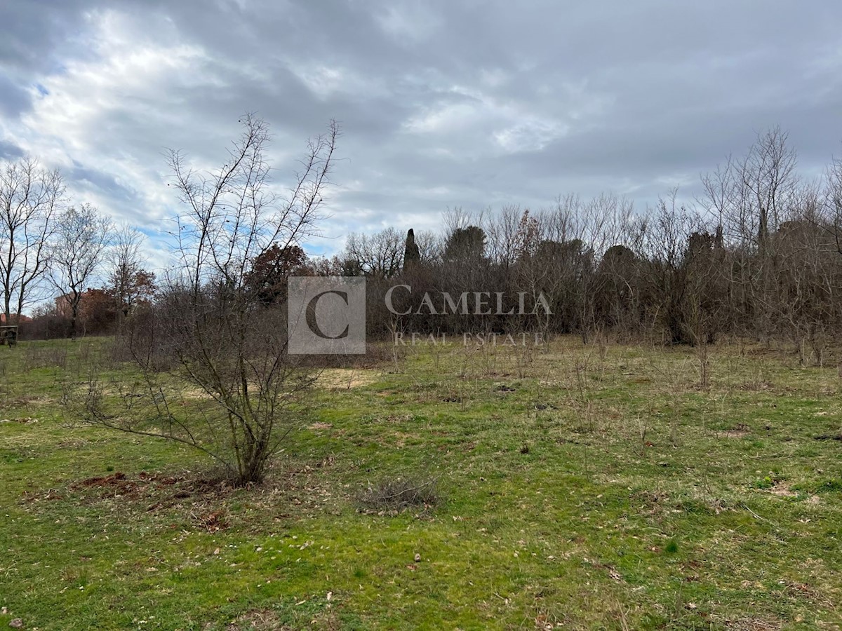 Land For sale - ISTARSKA BARBAN