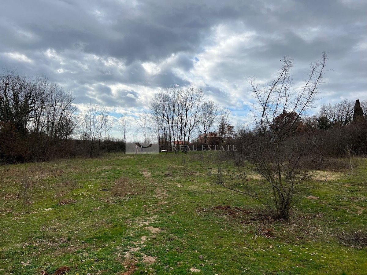 Land For sale - ISTARSKA BARBAN