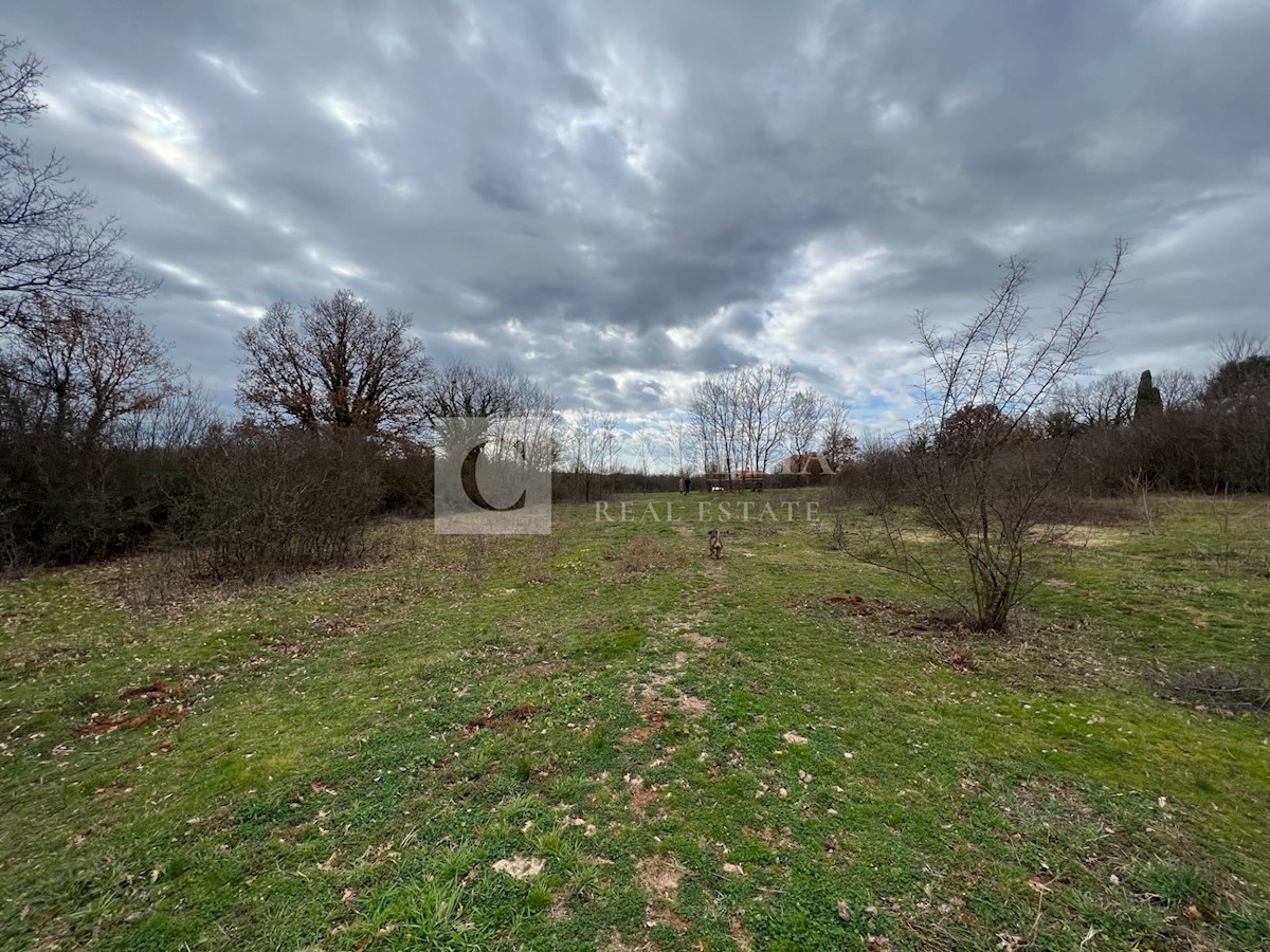 Parcela Na predaj - ISTARSKA BARBAN