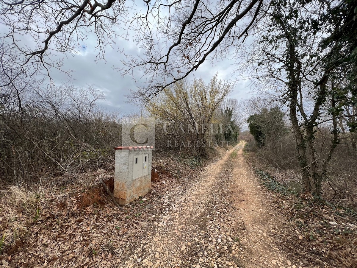 Parcela Na predaj - ISTARSKA BARBAN