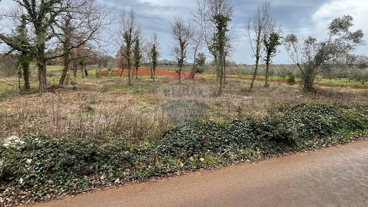 Terreno In vendita - ISTARSKA TAR-VABRIGA