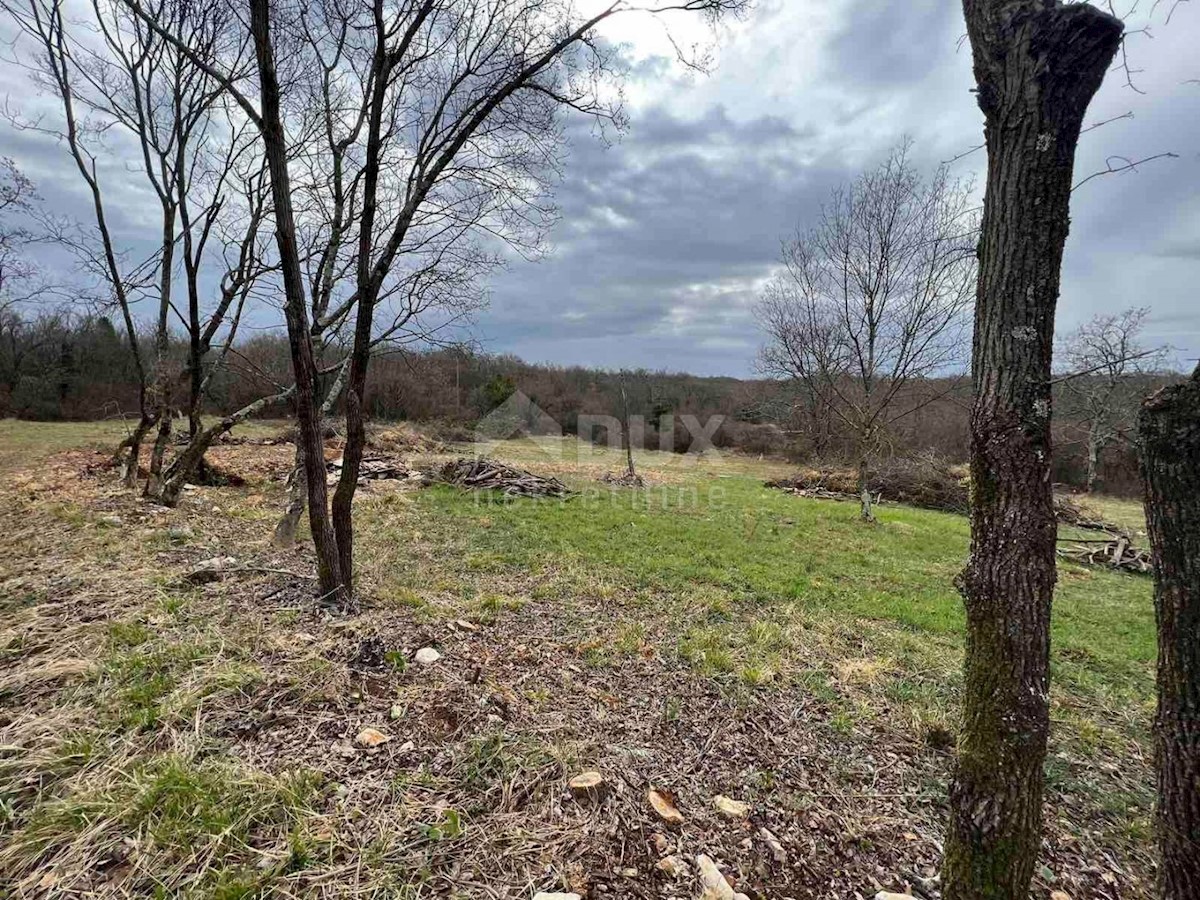 Terreno In vendita - ISTARSKA BUJE