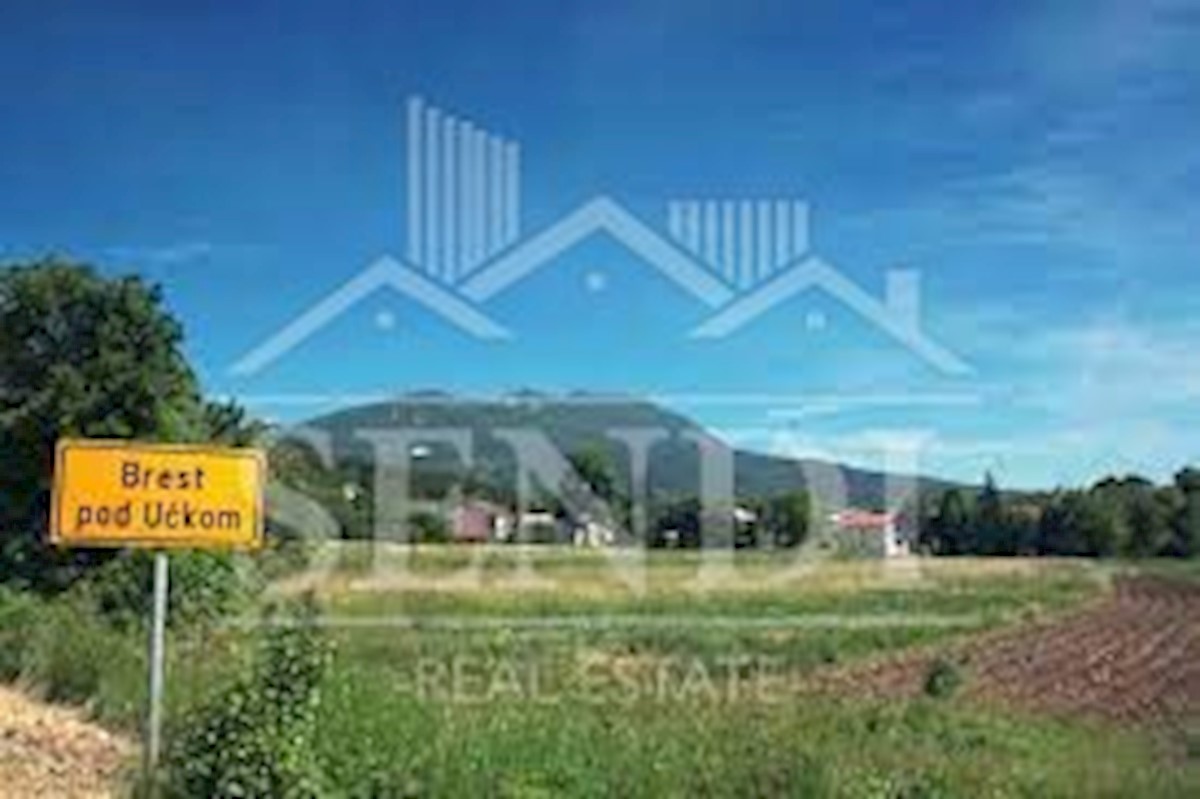 Land For sale - ISTARSKA LUPOGLAV