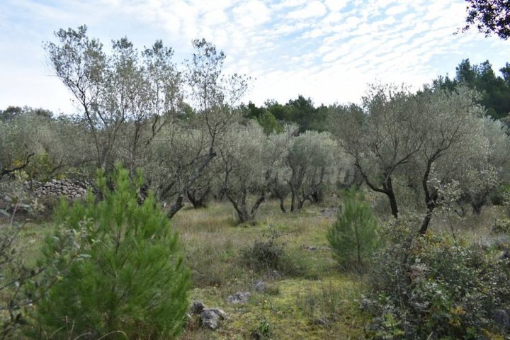 Zemljište Na prodaju - Primorsko-goranska Krk - foto 2/5