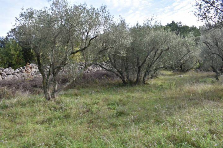 Zemljište Na prodaju - Primorsko-goranska Krk - foto 3/5