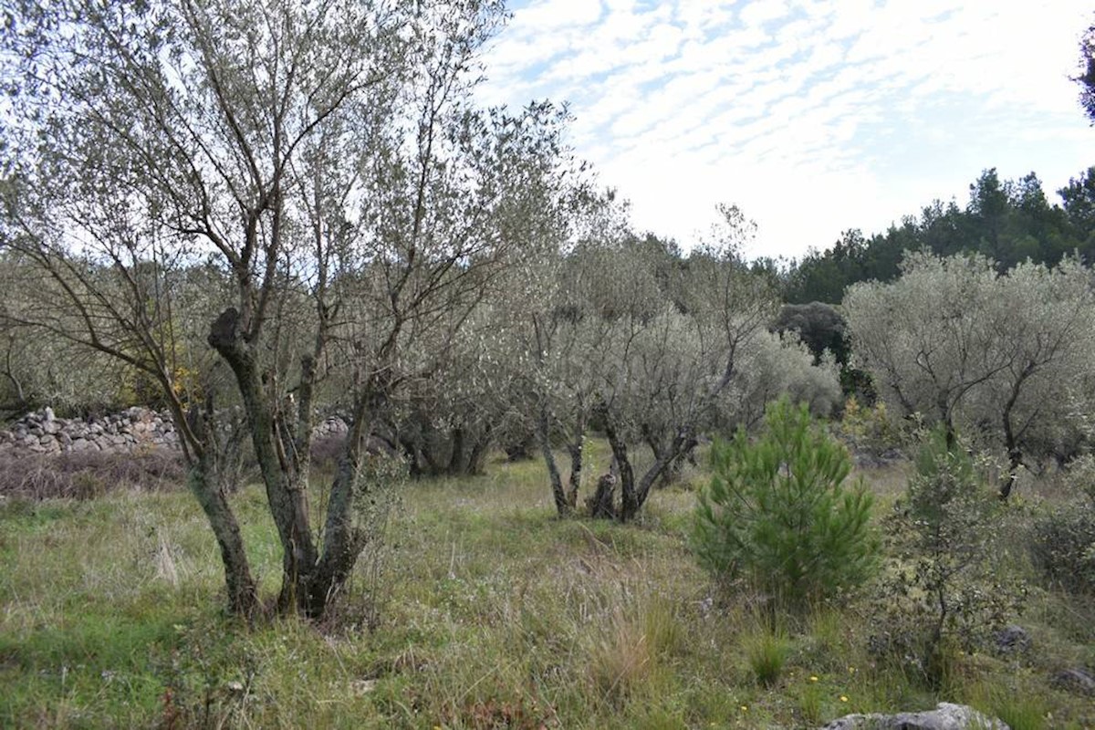 Pozemok Na predaj - PRIMORSKO-GORANSKA KRK
