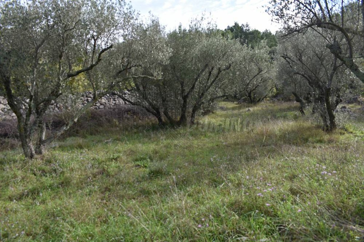 Pozemok Na predaj - PRIMORSKO-GORANSKA KRK