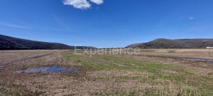 Grundstück Zu verkaufen - Istarska Kaštelir - foto 3/7