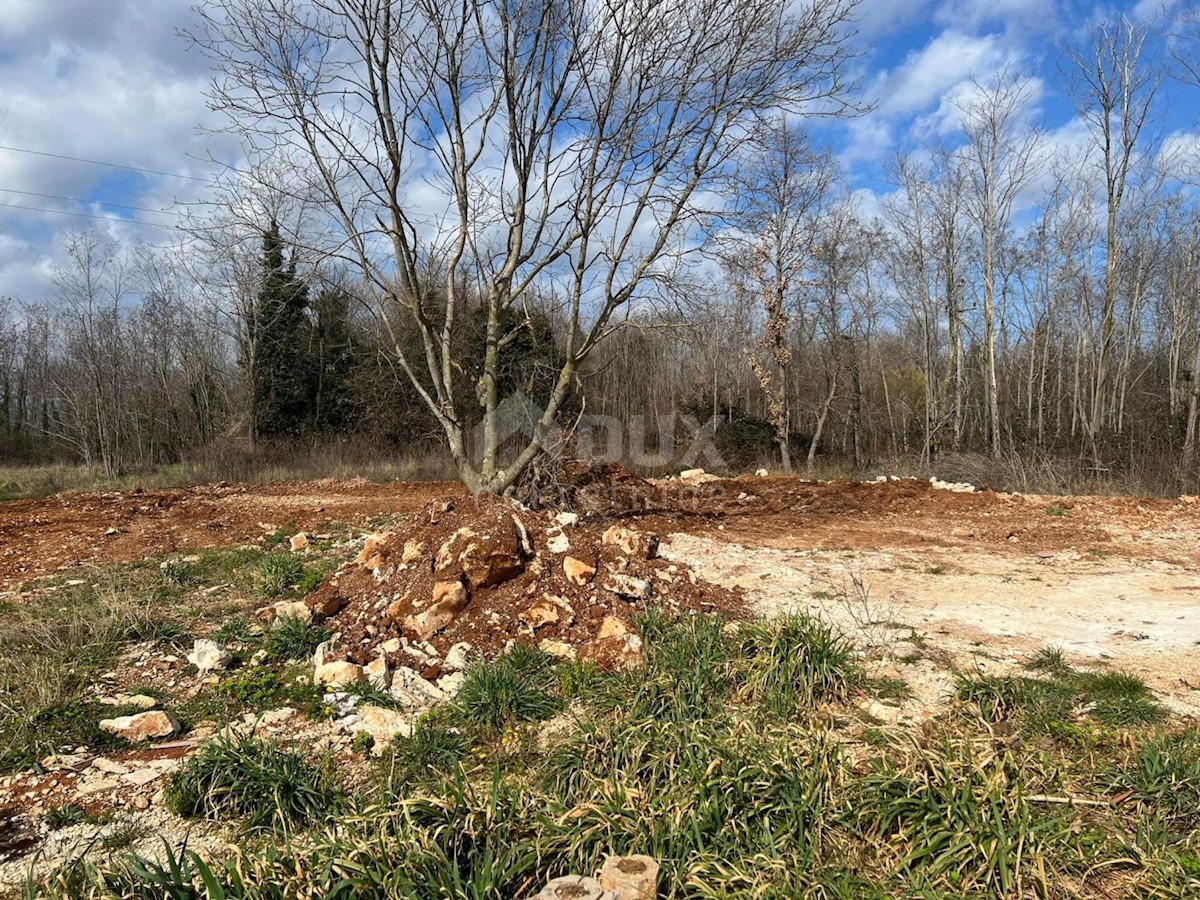 Terrain À vendre - Istarska Poreč - foto 3/4