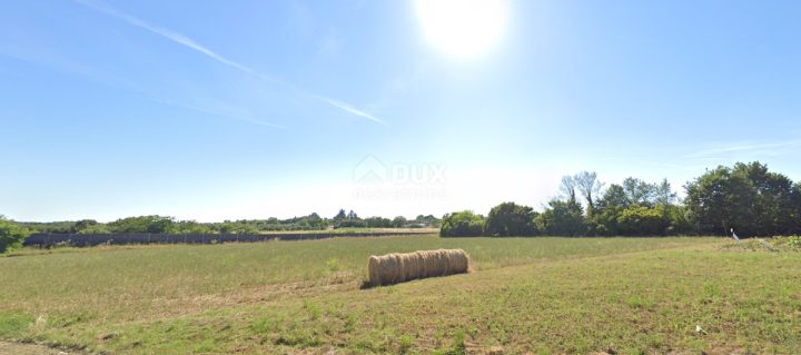 Działka na sprzedaż 7159 m² – Fiorini