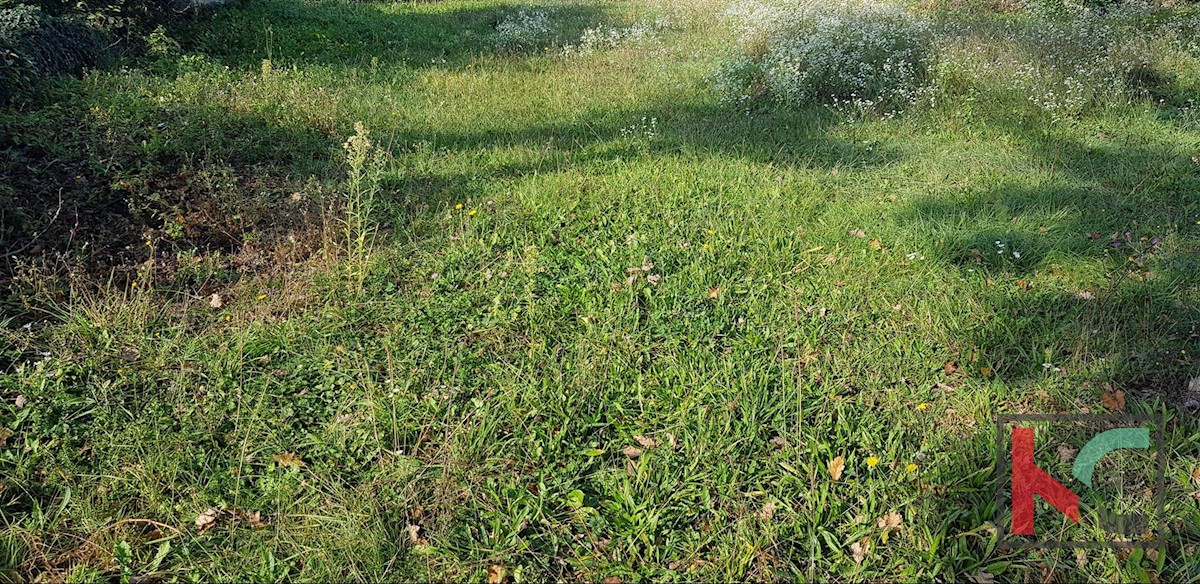 Haus Zu verkaufen - ISTARSKA GRAČIŠĆE