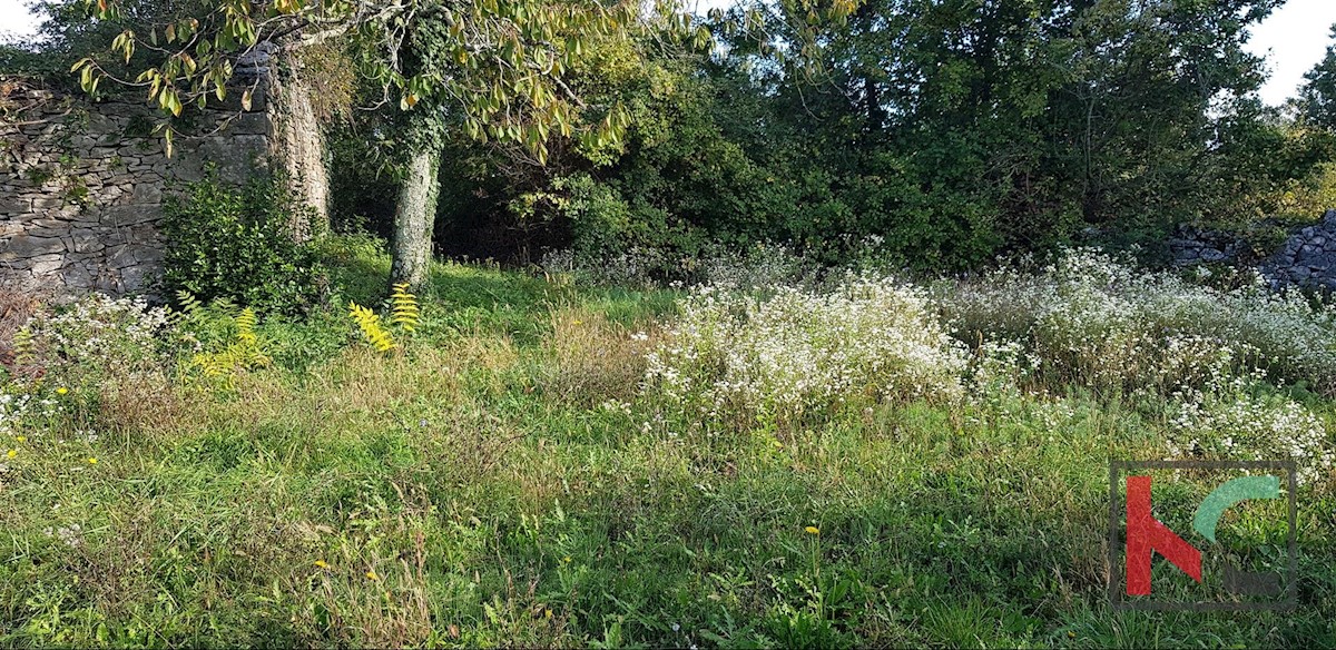 Dom Na predaj - ISTARSKA GRAČIŠĆE