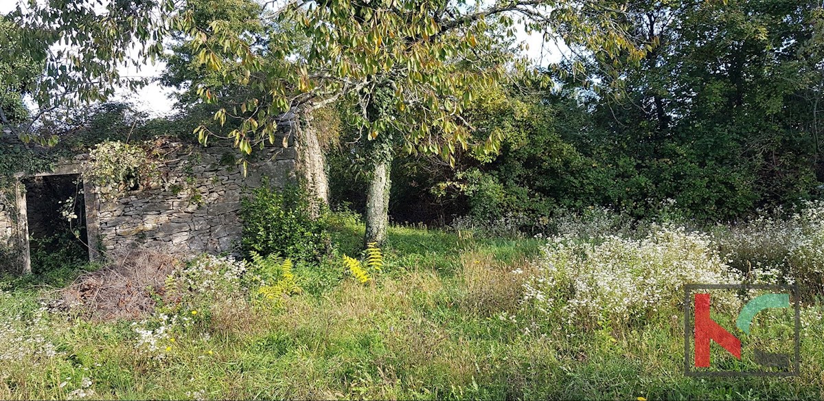 Haus Zu verkaufen - ISTARSKA GRAČIŠĆE