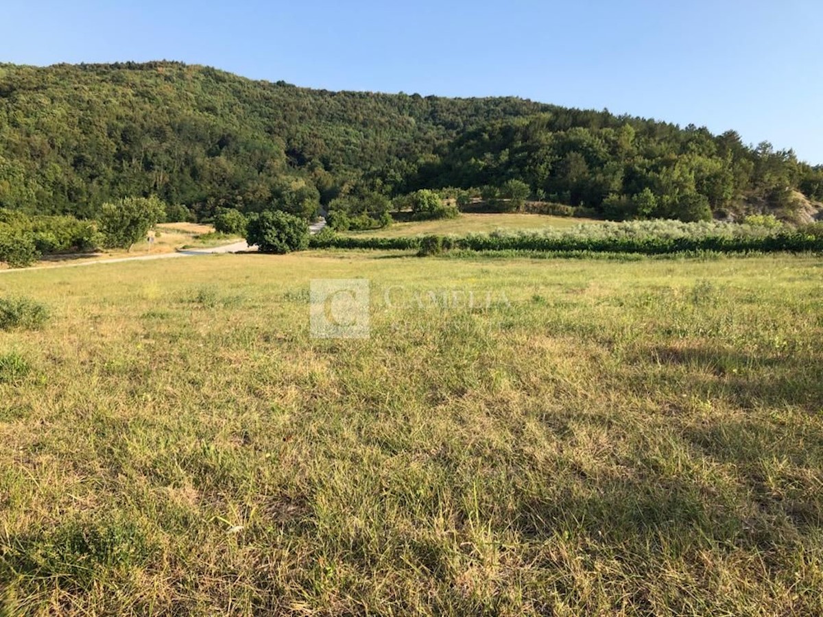 Pozemok Na predaj - ISTARSKA PAZIN